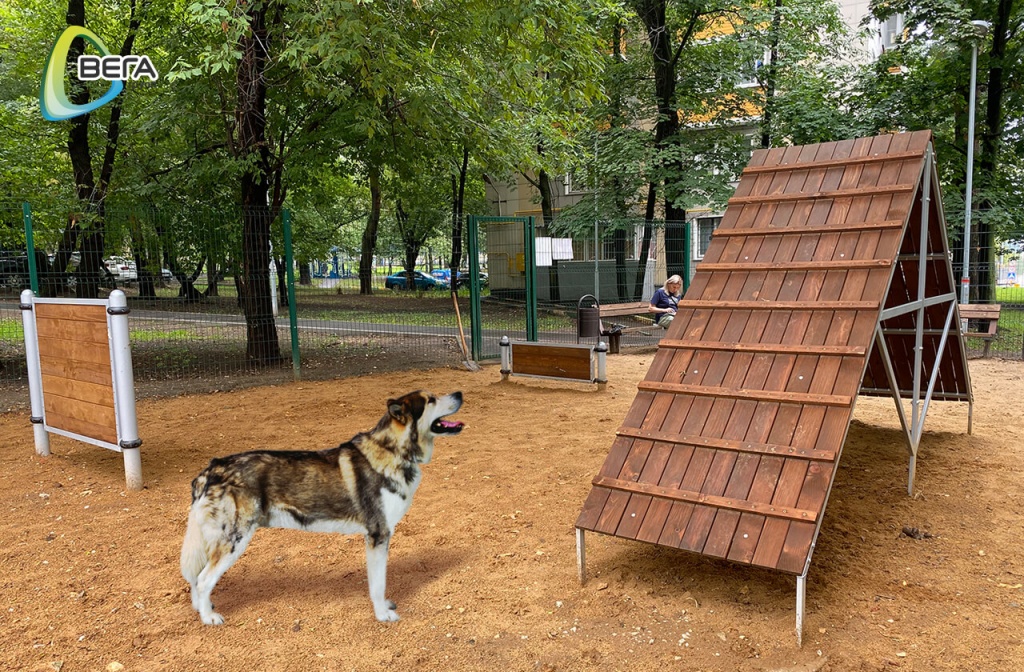 Площадки для дрессировки собак